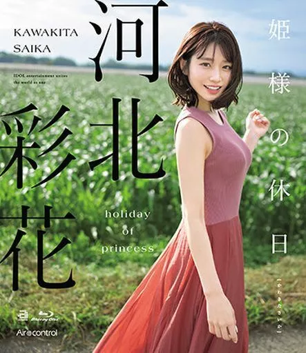 《与便利店少年秘密来往的H罩杯姐姐》